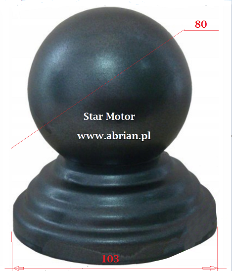 82.R100 照片尺寸 （带商标）.png