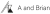 1064.png